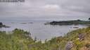 ./images/calvert/foggy-cove/20260809/foggy-cove20260809_085501M.jpg