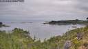 ./images/calvert/foggy-cove/20260809/foggy-cove20260809_090001M.jpg