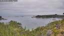 ./images/calvert/foggy-cove/20260809/foggy-cove20260809_090501M.jpg