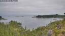 ./images/calvert/foggy-cove/20260809/foggy-cove20260809_093001M.jpg