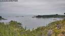 ./images/calvert/foggy-cove/20260809/foggy-cove20260809_094002M.jpg