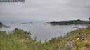 ./images/calvert/foggy-cove/20260809/foggy-cove20260809_094501M.jpg