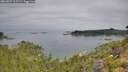 ./images/calvert/foggy-cove/20260809/foggy-cove20260809_102501M.jpg