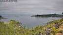 ./images/calvert/foggy-cove/20260809/foggy-cove20260809_103001M.jpg