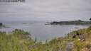 ./images/calvert/foggy-cove/20260809/foggy-cove20260809_105502M.jpg