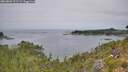 ./images/calvert/foggy-cove/20260809/foggy-cove20260809_122501M.jpg