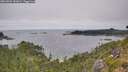 ./images/calvert/foggy-cove/20260809/foggy-cove20260809_152001M.jpg