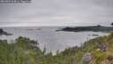 ./images/calvert/foggy-cove/20260809/foggy-cove20260809_164001M.jpg
