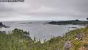 ./images/calvert/foggy-cove/20260809/foggy-cove20260809_170002M.jpg