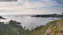 ./images/calvert/foggy-cove/20260809/foggy-cove20260809_191002M.jpg