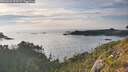 ./images/calvert/foggy-cove/20260809/foggy-cove20260809_193501M.jpg