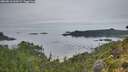 ./images/calvert/foggy-cove/20260810/foggy-cove20260810_064501M.jpg
