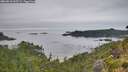 ./images/calvert/foggy-cove/20260810/foggy-cove20260810_065501M.jpg