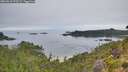 ./images/calvert/foggy-cove/20260810/foggy-cove20260810_073501M.jpg