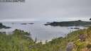 ./images/calvert/foggy-cove/20260810/foggy-cove20260810_074001M.jpg