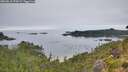 ./images/calvert/foggy-cove/20260810/foggy-cove20260810_074501M.jpg