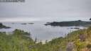 ./images/calvert/foggy-cove/20260810/foggy-cove20260810_075501M.jpg