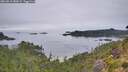 ./images/calvert/foggy-cove/20260810/foggy-cove20260810_080001M.jpg