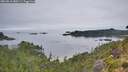 ./images/calvert/foggy-cove/20260810/foggy-cove20260810_080501M.jpg
