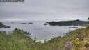 ./images/calvert/foggy-cove/20260810/foggy-cove20260810_081502M.jpg