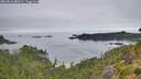 ./images/calvert/foggy-cove/20260810/foggy-cove20260810_082001M.jpg