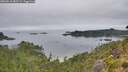 ./images/calvert/foggy-cove/20260810/foggy-cove20260810_083501M.jpg