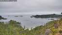 ./images/calvert/foggy-cove/20260810/foggy-cove20260810_084001M.jpg