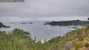 ./images/calvert/foggy-cove/20260810/foggy-cove20260810_084501M.jpg