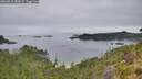 ./images/calvert/foggy-cove/20260810/foggy-cove20260810_085001M.jpg