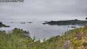 ./images/calvert/foggy-cove/20260810/foggy-cove20260810_085501M.jpg