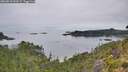 ./images/calvert/foggy-cove/20260810/foggy-cove20260810_090501M.jpg