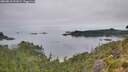 ./images/calvert/foggy-cove/20260810/foggy-cove20260810_091002M.jpg