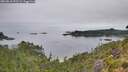 ./images/calvert/foggy-cove/20260810/foggy-cove20260810_091501M.jpg