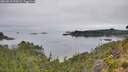 ./images/calvert/foggy-cove/20260810/foggy-cove20260810_092001M.jpg