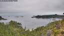 ./images/calvert/foggy-cove/20260810/foggy-cove20260810_092501M.jpg