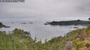 ./images/calvert/foggy-cove/20260810/foggy-cove20260810_093002M.jpg