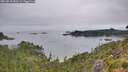 ./images/calvert/foggy-cove/20260810/foggy-cove20260810_093501M.jpg