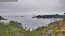 ./images/calvert/foggy-cove/20260810/foggy-cove20260810_094001M.jpg