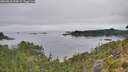 ./images/calvert/foggy-cove/20260810/foggy-cove20260810_094501M.jpg