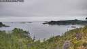 ./images/calvert/foggy-cove/20260810/foggy-cove20260810_095001M.jpg