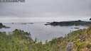 ./images/calvert/foggy-cove/20260810/foggy-cove20260810_095501M.jpg