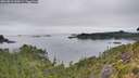 ./images/calvert/foggy-cove/20260810/foggy-cove20260810_100501M.jpg