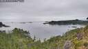 ./images/calvert/foggy-cove/20260810/foggy-cove20260810_101001M.jpg