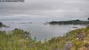 ./images/calvert/foggy-cove/20260810/foggy-cove20260810_111001M.jpg