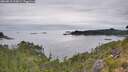 ./images/calvert/foggy-cove/20260810/foggy-cove20260810_125001M.jpg