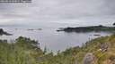 ./images/calvert/foggy-cove/20260810/foggy-cove20260810_143001M.jpg
