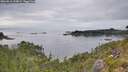./images/calvert/foggy-cove/20260810/foggy-cove20260810_144001M.jpg