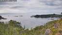 ./images/calvert/foggy-cove/20260810/foggy-cove20260810_154001M.jpg