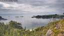 ./images/calvert/foggy-cove/20260810/foggy-cove20260810_172501M.jpg