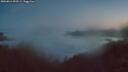 ./images/calvert/foggy-cove/20260811/foggy-cove20260811_053501M.jpg